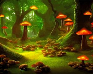 Aesthetic Mushroom Forest Diamond Painting