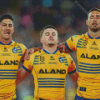 Aesthetic Parramatta Eels Diamond Paintings