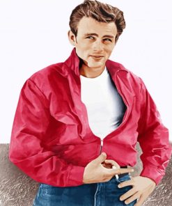 Aesthetic Rebel Without A Cause Diamond Painting