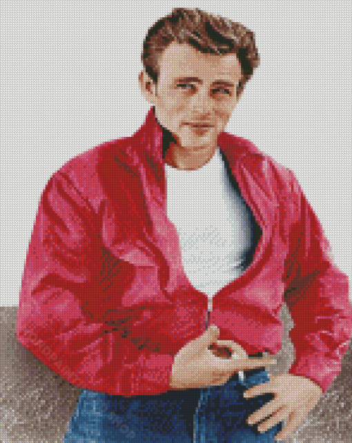 Aesthetic Rebel Without A Cause Diamond Paintings