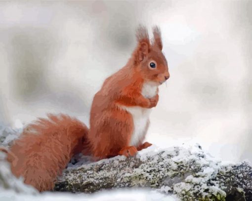 Aesthetic Red Squirrel On A Branch Diamond Painting