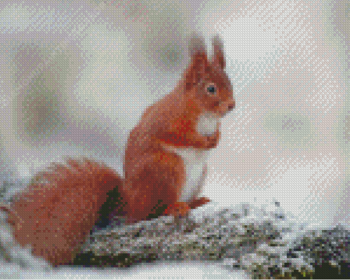 Aesthetic Red Squirrel On A Branch Diamond Paintings
