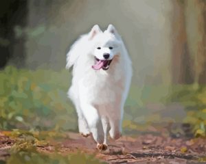 Aesthetic Samoyed Diamond Painting