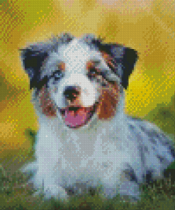 Aussie Dog Animal Diamond Paintings