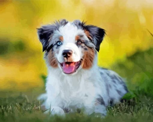 Aussie Dog Animal Diamond Painting