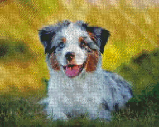 Aussie Dog Animal Diamond Paintings