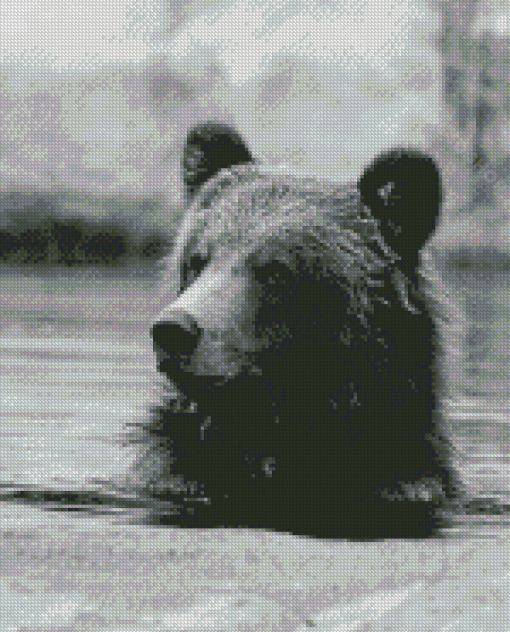 Black And White Bear Head In Water Diamond Paintings