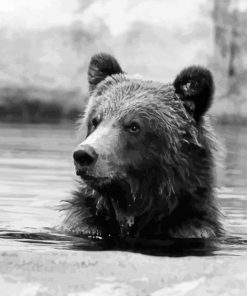 Black And White Bear Head In Water Diamond Painting
