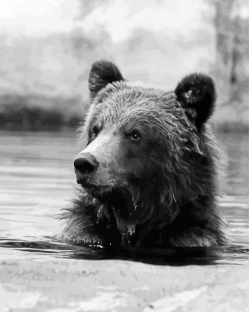 Black And White Bear Head In Water Diamond Painting