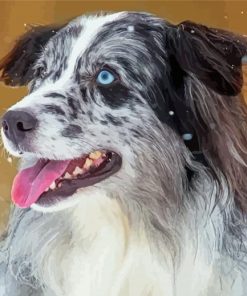 Blue Merle Dog Diamond Painting