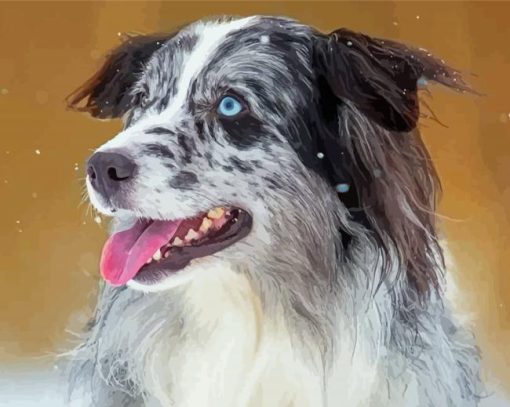Blue Merle Dog Diamond Painting
