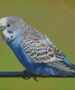 Blue Parakeet Bird Diamond Paintings