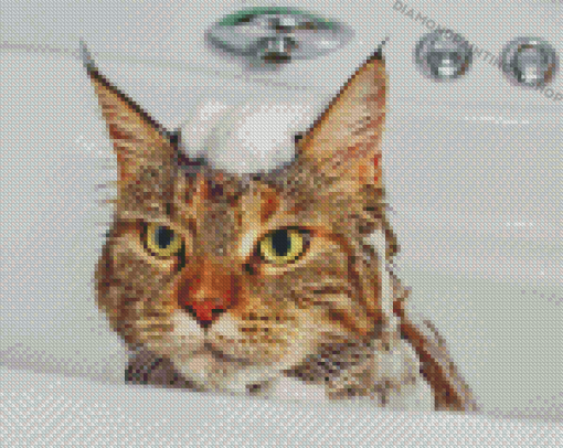 Cat In Shower Diamond Paintings