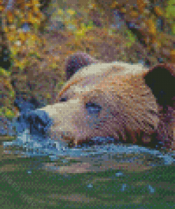 Close Up Bear In Water Diamond Paintings