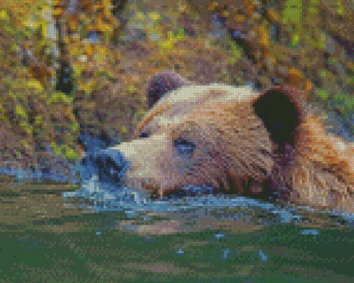 Close Up Bear In Water Diamond Paintings