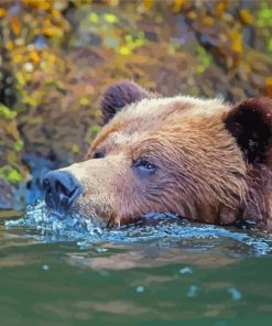Close Up Bear In Water Diamond Painting