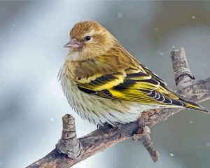 Cool Eurasian Siskin Diamond Painting