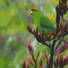 Cool Red Crowned Parakeet Bird Diamond Paintings