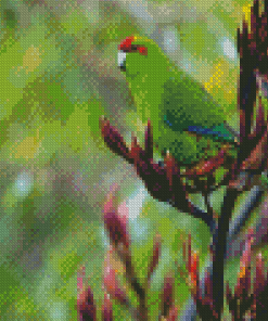 Cool Red Crowned Parakeet Bird Diamond Paintings