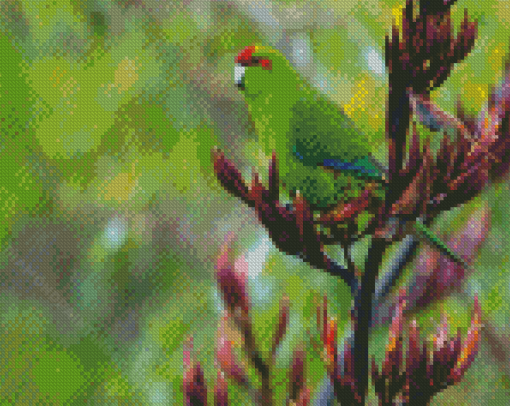 Cool Red Crowned Parakeet Bird Diamond Paintings