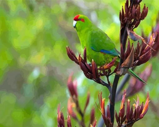 Cool Red Crowned Parakeet Bird Diamond Painting