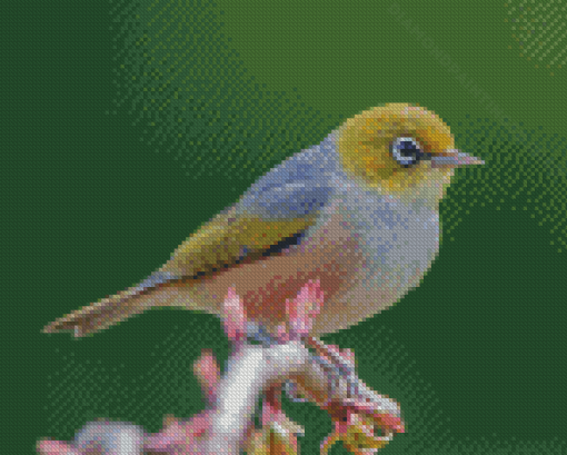 Cool Silvereye Diamond Paintings