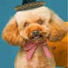 Dog In Summer Hat Diamond Painting
