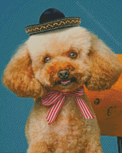 Dog In Summer Hat Diamond Paintings