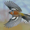 Flying Chaffinch Bird Diamond Paintings