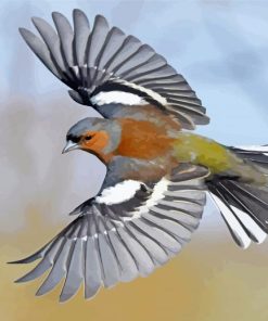 Flying Chaffinch Bird Diamond Painting