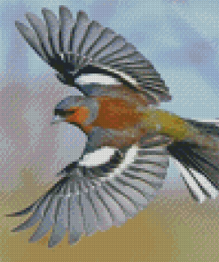 Flying Chaffinch Bird Diamond Paintings