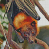 Giant Golden Crowned Flying Fox Head Diamond Paintings