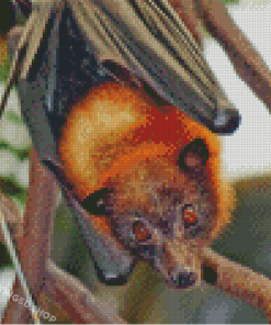 Giant Golden Crowned Flying Fox Head Diamond Paintings