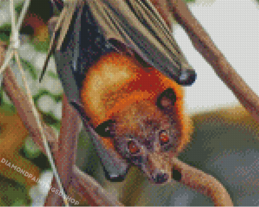 Giant Golden Crowned Flying Fox Head Diamond Paintings