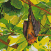 Giant Golden Crowned Flying Fox In Tree Diamond Paintings