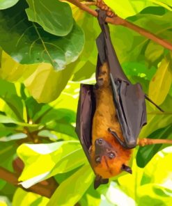 Giant Golden Crowned Flying Fox In Tree Diamond Painting