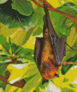 Giant Golden Crowned Flying Fox In Tree Diamond Paintings