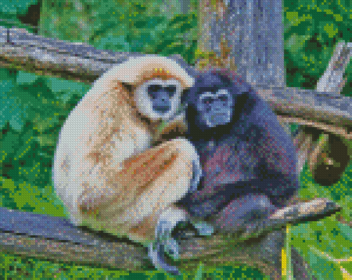 Gibbon Monkeys Animals Diamond Paintings