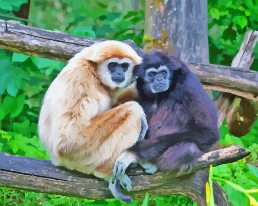 Gibbon Monkeys Animals Diamond Painting