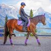 Horse Hacking Through A Riding Courtyard Diamond Painting