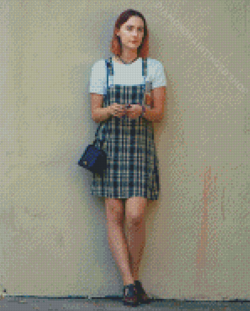 Lady Bird Movie Diamond Paintings