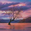 Lake Wanaka Pink Sunset Diamond Paintings