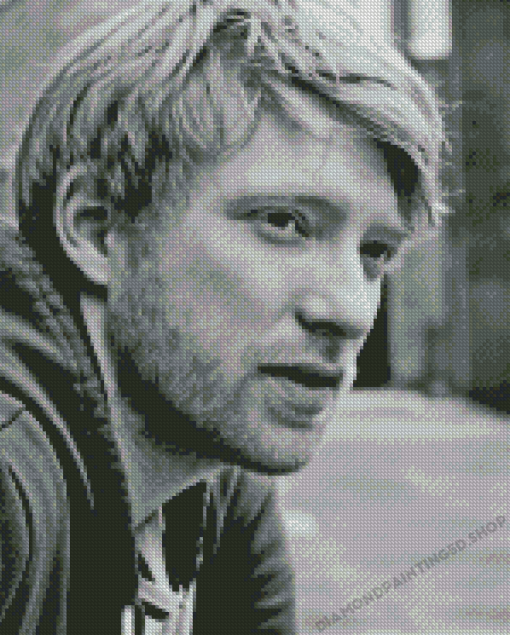 Monochrome Domhnall Gleeson Diamond Paintings