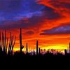 Red Sunset Arizona Diamond Painting