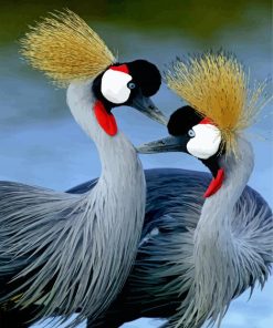 Royal Crown African Birds Diamond Painting