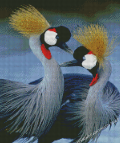 Royal Crown African Birds Diamond Paintings