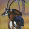 Sable Antelope Animal Diamond Paintings