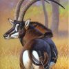 Sable Antelope Animal Diamond Painting