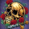 Skull With Roses Diamond Painting