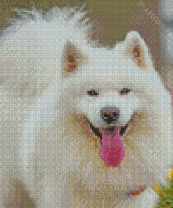 White Fluffy Dog In Garden Diamond Paintings